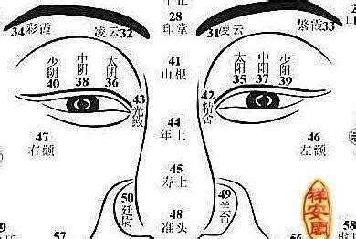 鼻子面相图解|鼻子看相图解